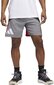 Meeste lühikesed püksid Adidas Galaxy Short Grey Red HE2902 HE2902/M hind ja info | Meeste lühikesed püksid | kaup24.ee