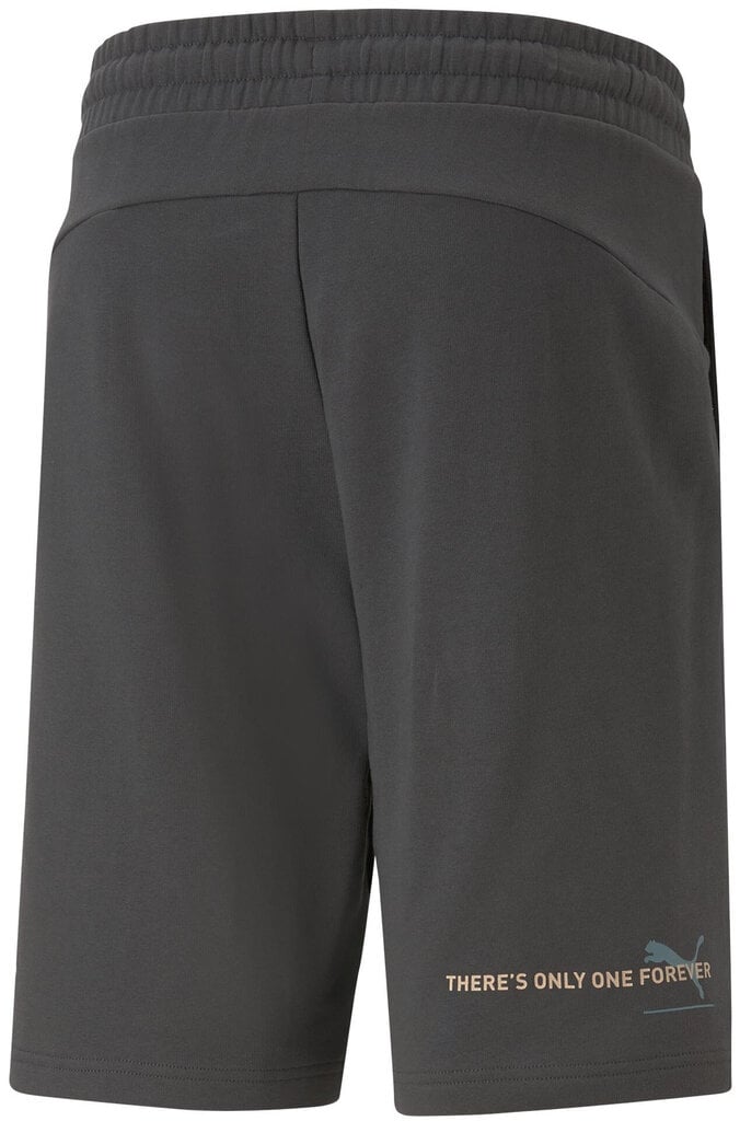Meeste lühikesed püksid Puma Ess Better Shorts 10" Tr Grey 673295 75 673295 75/L hind ja info | Meeste lühikesed püksid | kaup24.ee