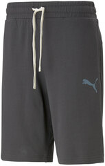 Шорты мужские Puma Ess Better Shorts 10" Tr 673295 75/L, серые цена и информация | Шорты мужские | kaup24.ee