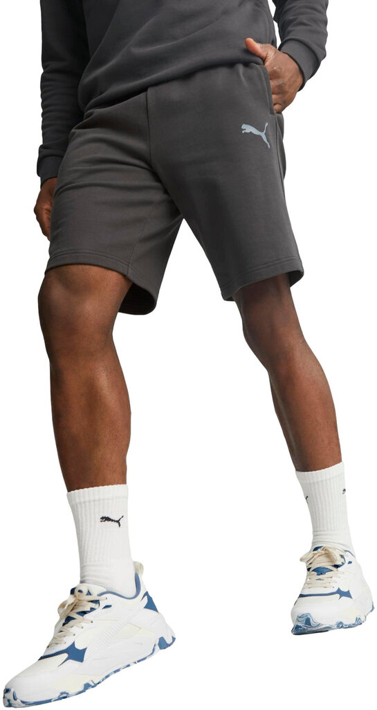 Meeste lühikesed püksid Puma Ess Better Shorts 10" Tr Grey 673295 75 673295 75/L цена и информация | Meeste lühikesed püksid | kaup24.ee