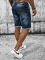 Meeste lühikesed püksid New Boy Blue MP0264BS MP0264BS/33 hind ja info | Meeste lühikesed püksid | kaup24.ee