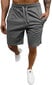 Meeste lühikesed püksid J.Style Grey 8K101-5 8K101-5/L hind ja info | Meeste lühikesed püksid | kaup24.ee