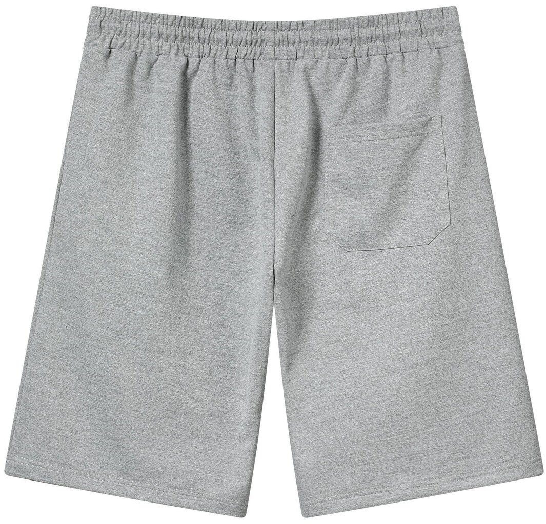 Meeste lühikesed püksid Glo Story Grey MRT 4105/GREY MRT 4105/GREY/S hind ja info | Meeste lühikesed püksid | kaup24.ee