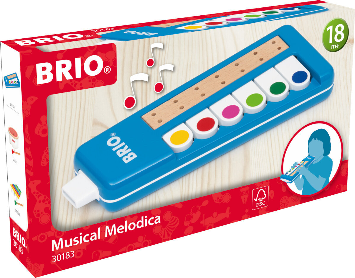 Brio muusikaline mänguasi 30183 Musical Melodica цена и информация | Arendavad mänguasjad | kaup24.ee