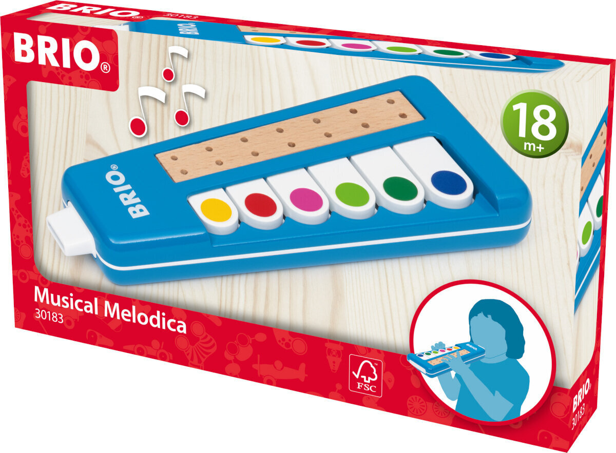 Brio muusikaline mänguasi 30183 Musical Melodica цена и информация | Arendavad mänguasjad | kaup24.ee