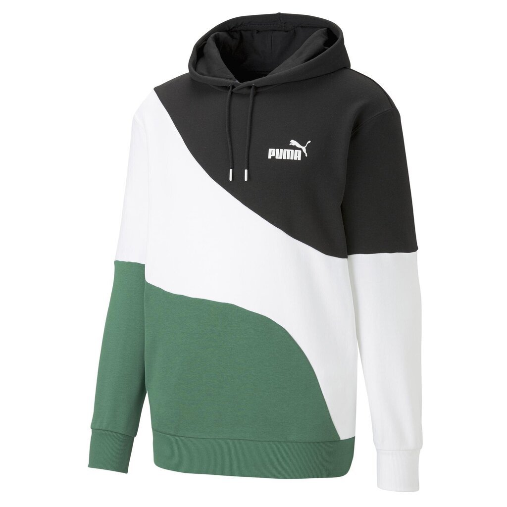 Meeste dressipluus Puma Power Cat Hoodie, mitmevärviline hind ja info | Meeste spordiriided | kaup24.ee