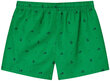 Meeste lühikesed püksid Glo Story, roheline hind ja info | Ujumispüksid, shortsid | kaup24.ee