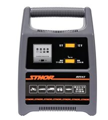 Alaldi Sthor 6/12V 8A 120Ah LED цена и информация | Аккумуляторы | kaup24.ee