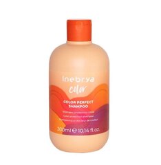Šampoon Inebrya Ice Cream Color Perfect, 300ml hind ja info | Šampoonid | kaup24.ee
