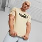 Meeste T-särk Puma Ess Logo Tee Cream 586667 85 586667 85/M hind ja info | Meeste T-särgid | kaup24.ee