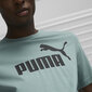 Meeste T-särk Puma Ess Logo Tee Green 586667 75 586667 75/3XL hind ja info | Meeste T-särgid | kaup24.ee