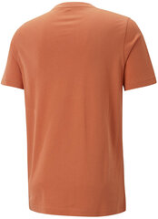 Meeste T-särk Puma Graphics Court Tee Chili Orange 674481 94 674481 94/S цена и информация | Мужские футболки | kaup24.ee