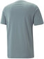 Meeste T-särk Puma Graphics Wording Tee Green 674475 84 674475 84/M hind ja info | Meeste T-särgid | kaup24.ee