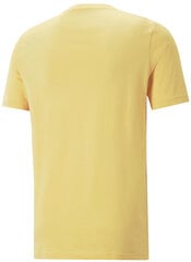 Meeste T-särk Puma Graphics Summer Tee Yellow 674482 40 674482 40/L hind ja info | Meeste T-särgid | kaup24.ee