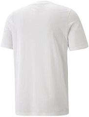 Meeste T-särk Puma Graphics Puma Wording White 674475 02 674475 02/M hind ja info | Meeste T-särgid | kaup24.ee