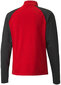 Meeste dressipluus Puma TeamLiga 1/4 Zip Top Red Black 657236 01 657236 01/XL hind ja info | Meeste pusad | kaup24.ee