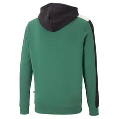 Мужской джемпер Puma Ess+ Block Hoodie 847428 37/L, черный/белый/зеленый цена и информация | Мужские толстовки | kaup24.ee