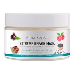 Juuksemask Alma Secret Extreme Repair 250 ml hind ja info | Maskid, õlid, seerumid | kaup24.ee