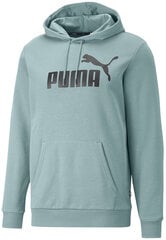 Джемпер Puma Ess Big Logo Hoodie 586687 75/S, зеленый цена и информация | Мужские толстовки | kaup24.ee