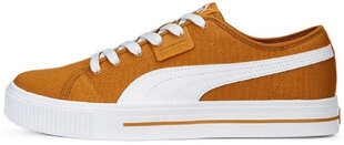 Мужские кроссовки Puma Ever Fs Cv Desert Clay Brown 386393 05/9.5, коричневые цена и информация | Кроссовки для мужчин | kaup24.ee