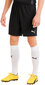 Meeste jalgpalli lühikesed püksid Puma TeamGoal 23 Knit Shorts Black 704262 03 704262 03/L hind ja info | Jalgpalli varustus ja riided | kaup24.ee