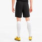 Meeste jalgpalli lühikesed püksid Puma TeamGoal 23 Knit Shorts Black 704262 03 704262 03/L hind ja info | Jalgpalli varustus ja riided | kaup24.ee