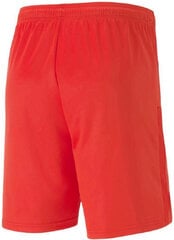 Meeste jalgpalli lühikesed püksid Puma TeamGoal 23 Knit Shorts Red 704262 01 704262 01/2XL цена и информация | Футбольная форма и другие товары | kaup24.ee