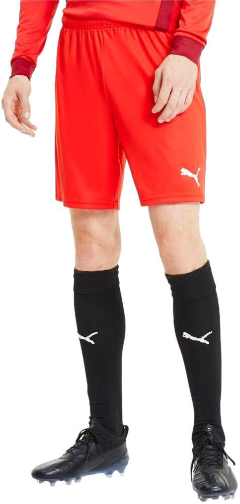 Meeste jalgpalli lühikesed püksid Puma TeamGoal 23 Knit Shorts Red 704262 01 704262 01/2XL hind ja info | Jalgpalli varustus ja riided | kaup24.ee