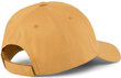Meeste nokamüts Puma Ess Cap Desert Clay Orange 023669 11 023669 11 цена и информация | Meeste sallid, mütsid ja kindad | kaup24.ee