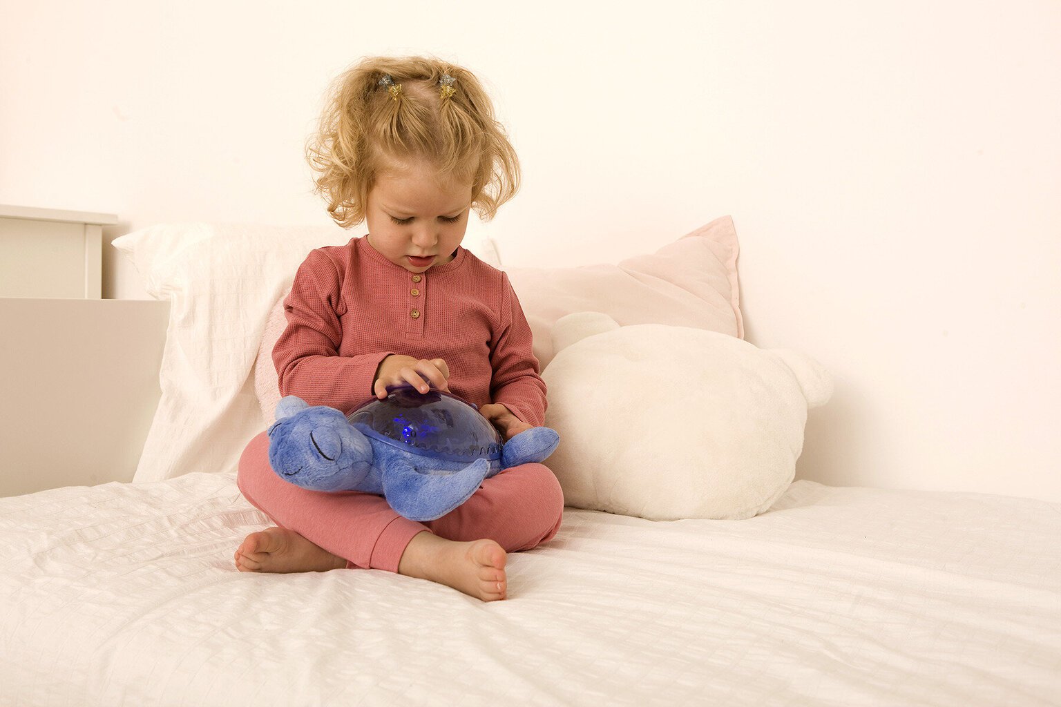 Rahulik kilpkonnaprojektor, 0+ kuud hind ja info | Imikute mänguasjad | kaup24.ee