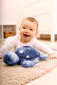 Rahulik kilpkonnaprojektor, 0+ kuud цена и информация | Imikute mänguasjad | kaup24.ee
