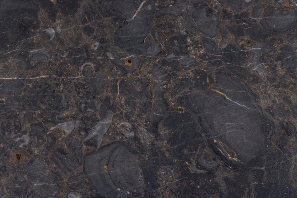 Diivanilaud Bendt Shaunika Marble, pruun цена и информация | Diivanilauad | kaup24.ee