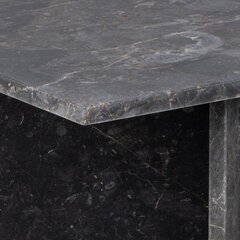 Журнальный столик Bendt Shaunika Marble, коричневый цвет цена и информация | Журнальные столики | kaup24.ee