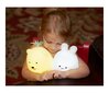 Laste öölamp Rabbit LED USB + pult, silikoonist цена и информация | Lastetoa valgustid | kaup24.ee