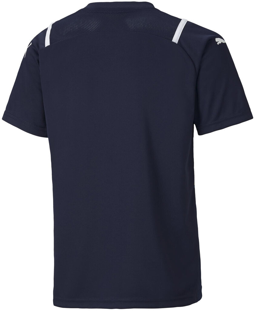 Poiste T-särk Puma TeamUltimate Jersey Jr Blue 705078 06 705078 06/152 hind ja info | Poiste särgid | kaup24.ee