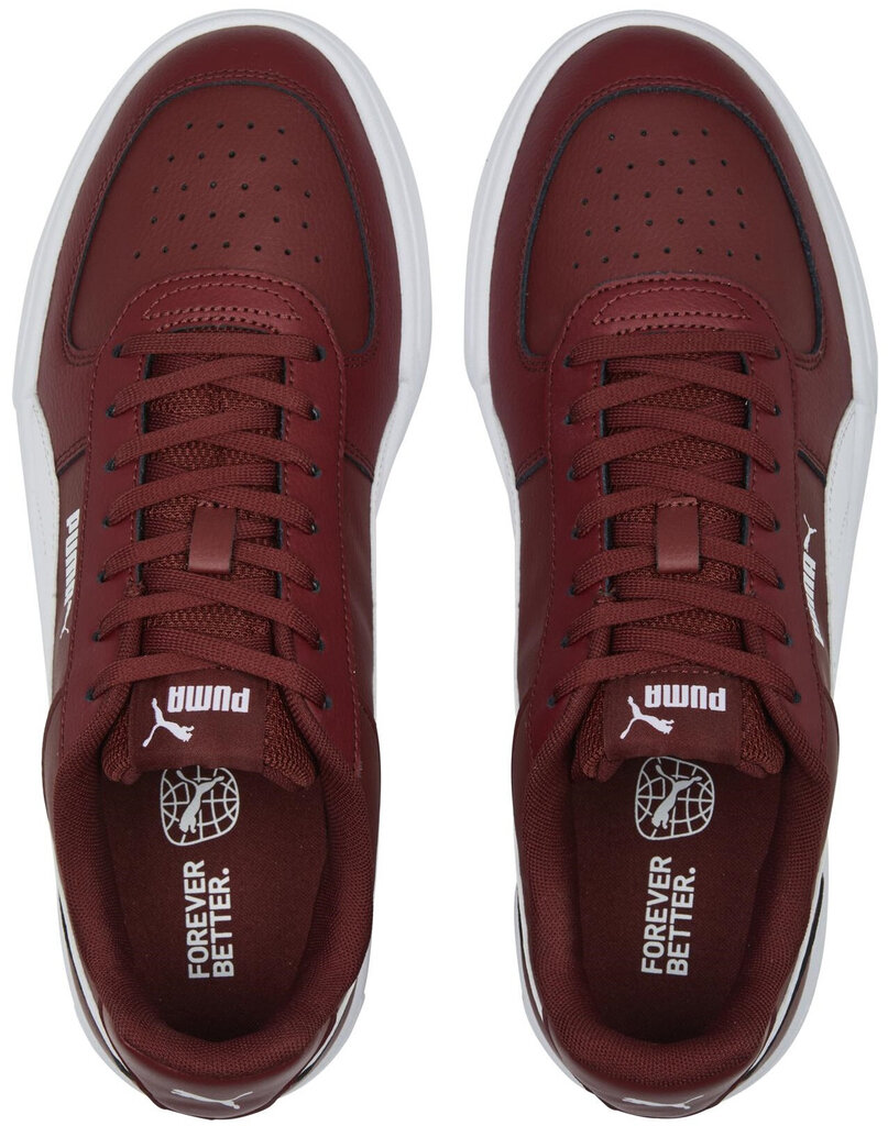 Meeste jalanõud Puma Caven Team Regal Bordeaux 380810 24 380810 24/8.5 hind ja info | Spordi- ja vabaajajalatsid meestele | kaup24.ee