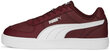 Meeste jalanõud Puma Caven Team Regal Bordeaux 380810 24 380810 24/8.5 цена и информация | Spordi- ja vabaajajalatsid meestele | kaup24.ee