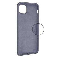 Силиконовый чехол для iPhone 11, фиолетовый цвет цена и информация | Чехлы для телефонов | kaup24.ee