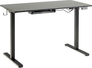 Письменный стол Actona Cairo, черный цвет цена и информация | Компьютерные, письменные столы | kaup24.ee