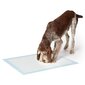 Loomade hügieenilapid XL 60x90 (50 tk) hind ja info | Dresseerimise vahendid koertele | kaup24.ee