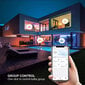 Kaasaegne nutikas pirn Smart Led Light Multi Color цена и информация | Lambipirnid, lambid | kaup24.ee