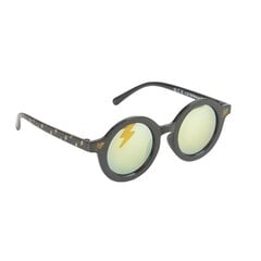 Солнечные очки детские Harry Potter Чёрный цена и информация | Аксессуары для детей | kaup24.ee