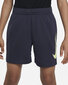 Nike Lühikesed Püksid B Nk Df Multi + Short Gx Grey DX5361 015 DX5361 015/S hind ja info | Poiste lühikesed püksid | kaup24.ee