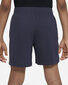Nike Lühikesed Püksid B Nk Df Multi + Short Gx Grey DX5361 015 DX5361 015/S hind ja info | Poiste lühikesed püksid | kaup24.ee