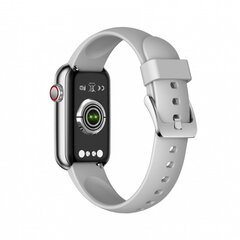 Garett Electronics Action Silver hind ja info | Nutikellad (smartwatch) | kaup24.ee