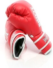 Боксерские перчатки Brute Starter, красные, 12 цена и информация | Боевые искусства | kaup24.ee