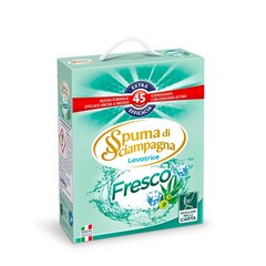 Spuma di Sciampagna pesupulber FRESCO 45 цена и информация | Средства для стирки | kaup24.ee