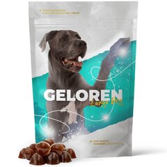 Koerte toidulisandid liigestele Geloren HA Large Dog 420g цена и информация | Витамины, пищевые добавки и товары от паразитов | kaup24.ee