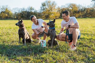 Koerte toidulisandid liigestele Geloren HA Large Dog 420g hind ja info | Vitamiinid, toidulisandid ja parasiitide vastased tooted | kaup24.ee