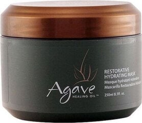 Маска для волос Agave Healing Oil, 250 мл цена и информация | Маски, масла, сыворотки | kaup24.ee